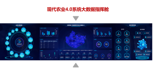 黑龙江省创新农业物权融资 农业产业互联网科技公司的信息技术咨询服务新探索
