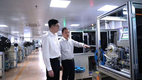 三度服务赋能温州科技企业 信息技术咨询的精准助力